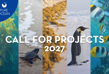 Le 8ème appel à projets de Pure Ocean est ouvert !