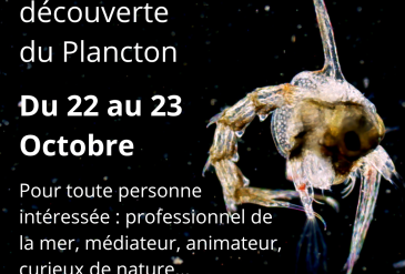 Le monde du plancton : module taxonomie ou pédagogie